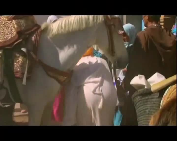 scienceandvideo-penicaud-mesbah-baraka.mp4