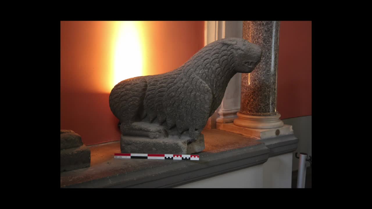 lionnes.mp4