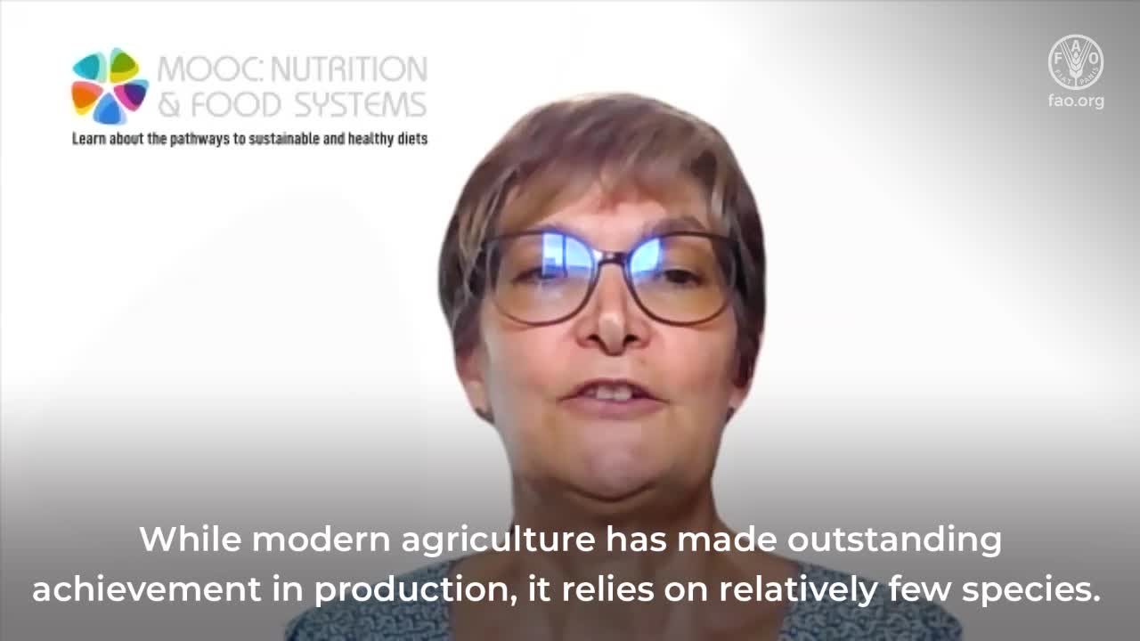 Approches systémiques de la production et de l'approvisionnement alimentaires