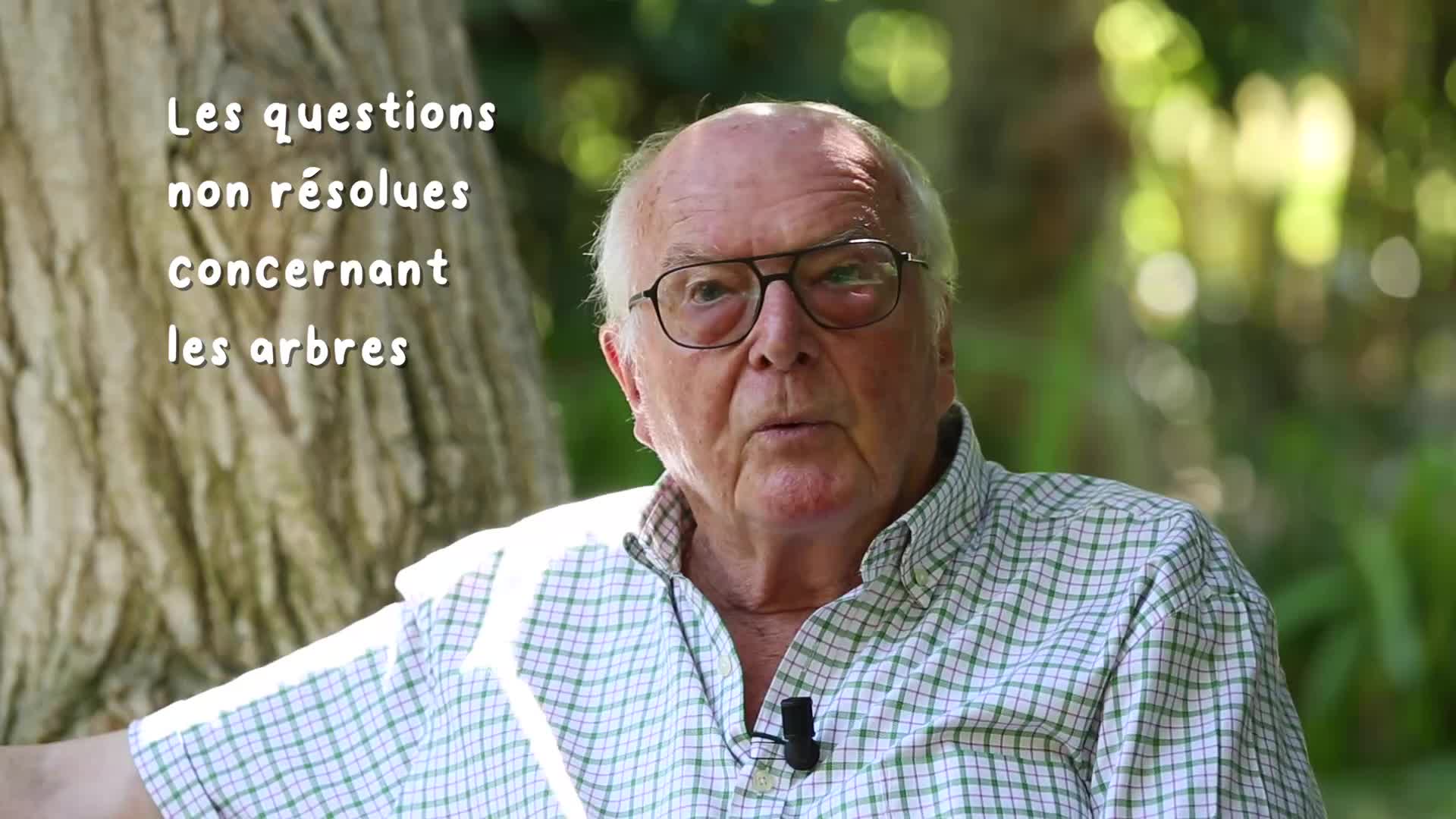 Les arbres : questions et menaces