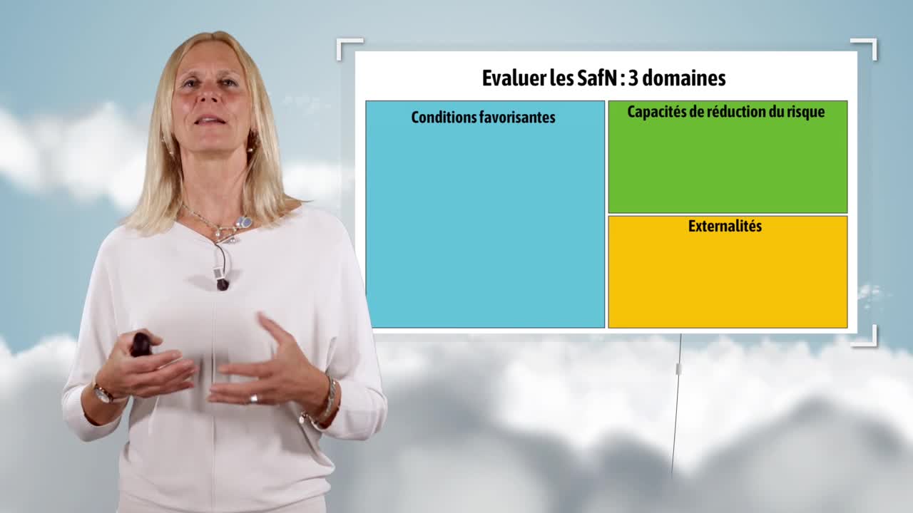 Nature-based climate change adaptation solutions in French overseas departments
