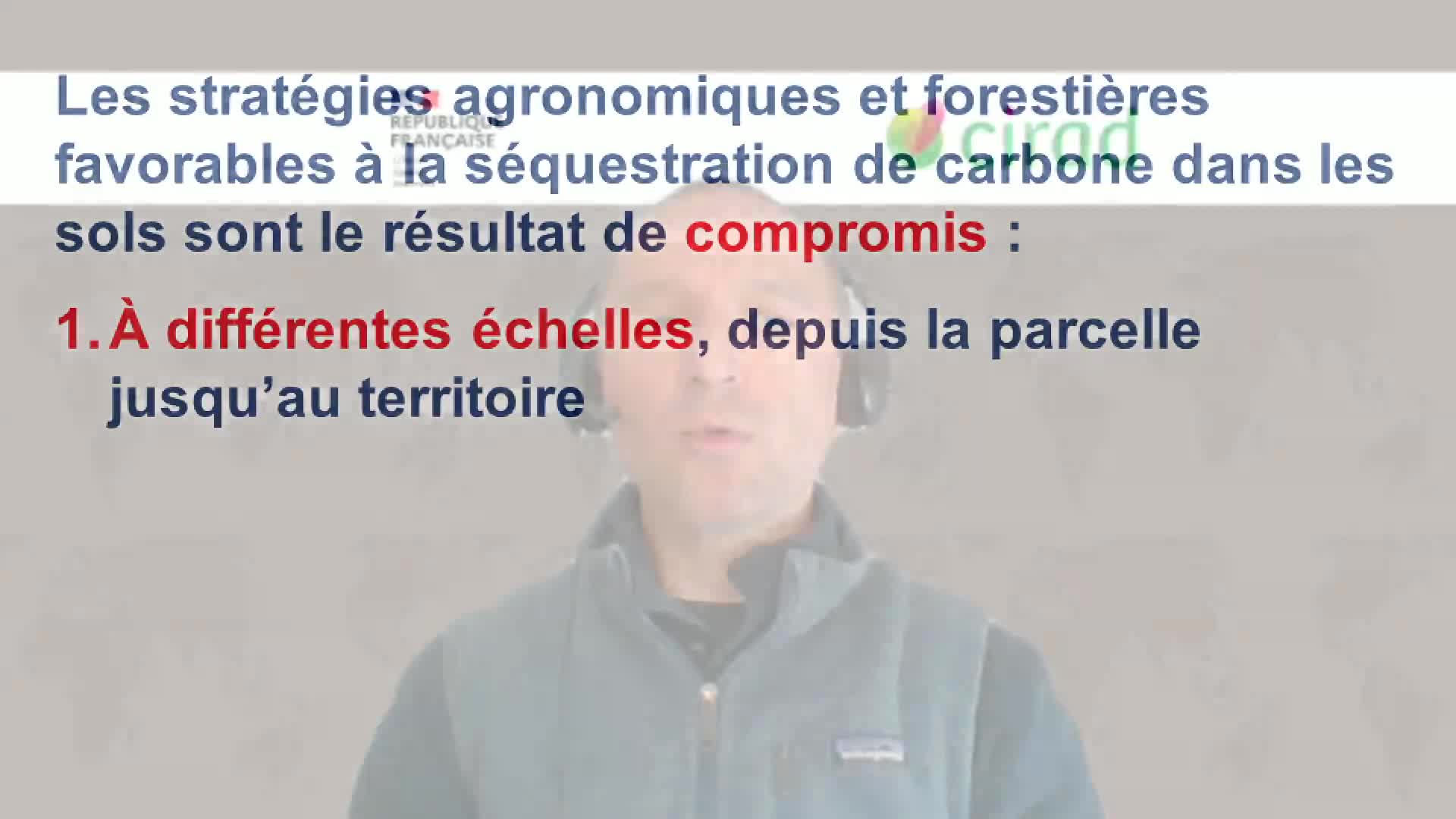 Stratégies agronomiques et forestières favorables à la séquestration du carbone dans les sols 