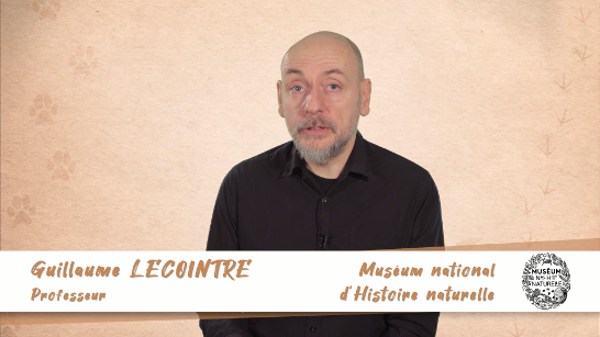 L'humain est-il un animal ?
