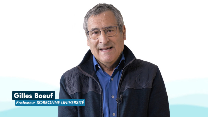 L’océan, témoin du changement