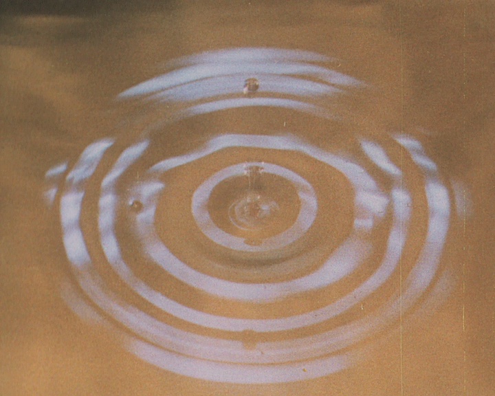 L'Eau en biologie
(Water in Biology)