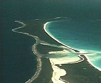 La Sédimentation récifale / 2. Récifs fossiles du sud et sud-ouest Pacifique