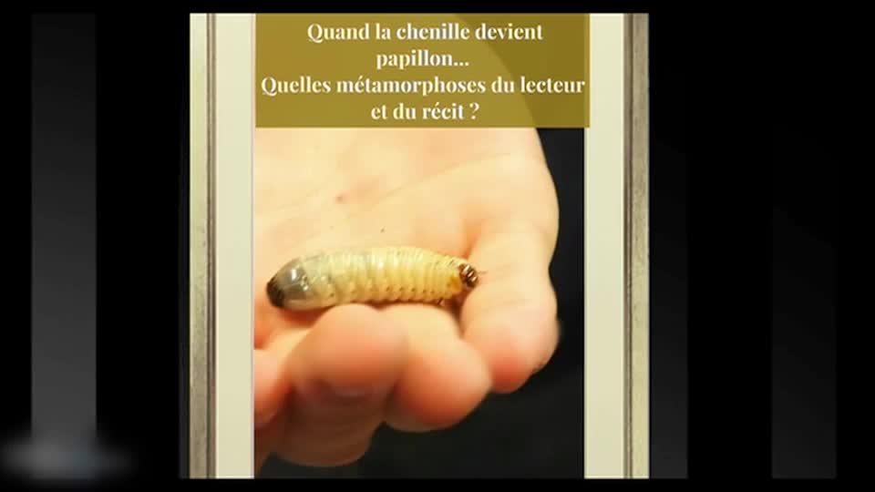 Récit et valeurs - Partie 4 - Thème 4