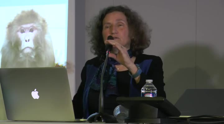 Entre les enfants et les ordinateurs: Human Computer Interaction