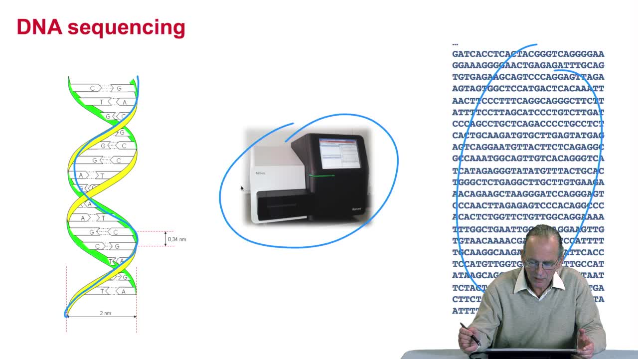 2.8. DNA sequencing