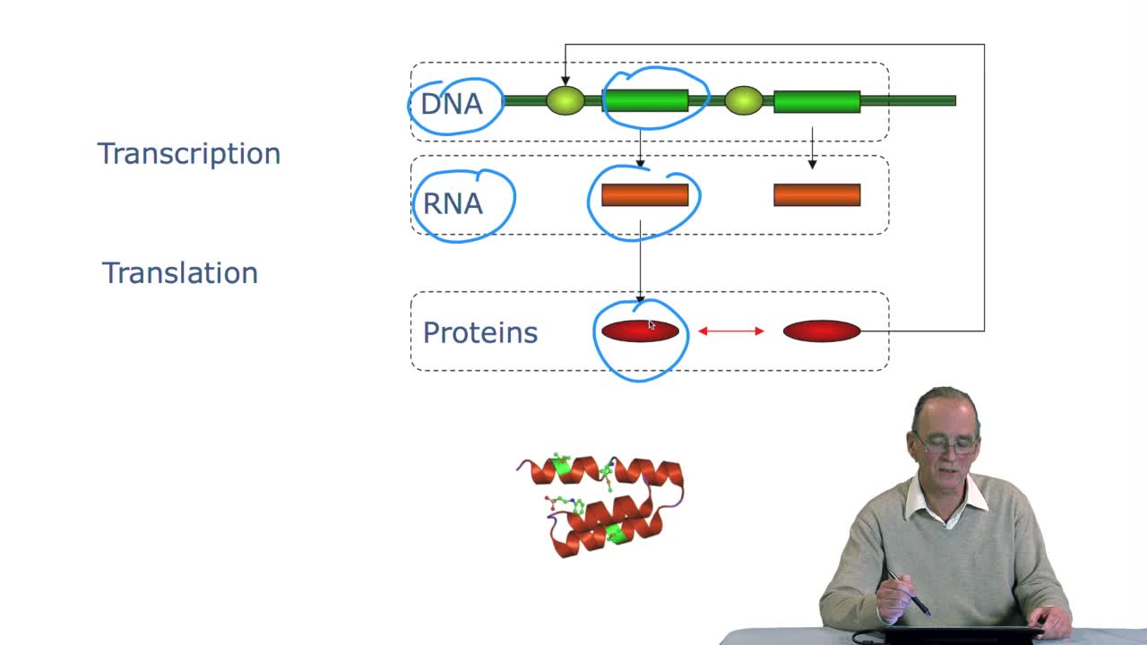 2.3. The genetic code