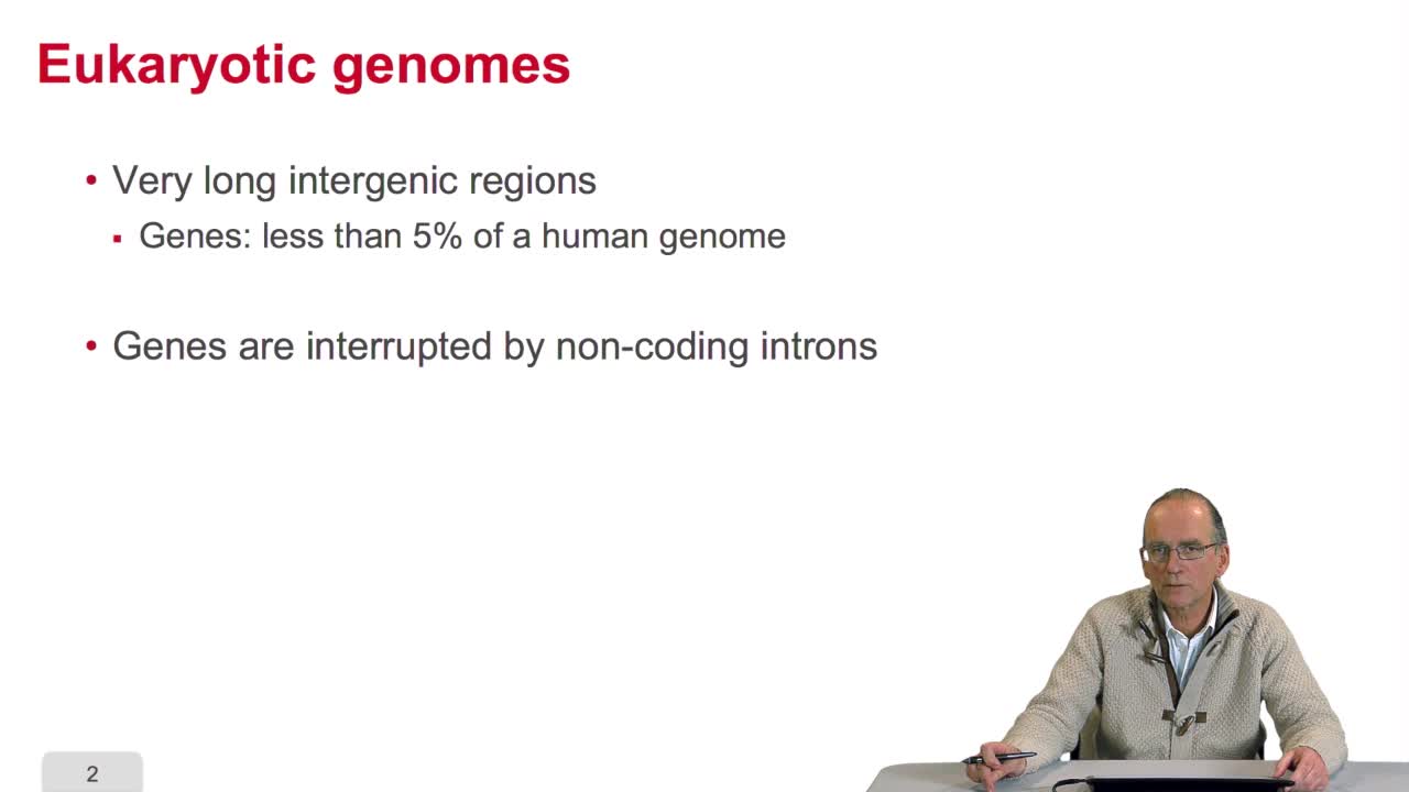 3.10. Gene prediction in eukaryotic genomes