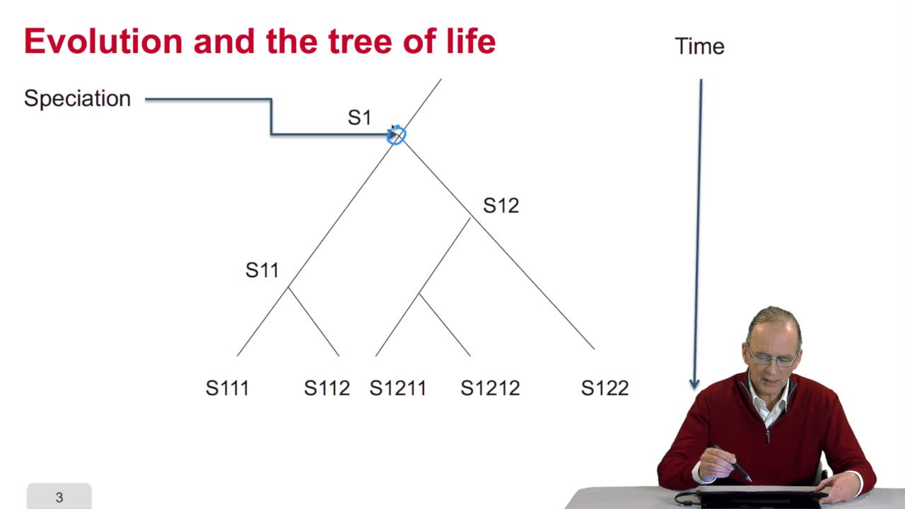 4.2. Why gene/protein sequences may be similar?