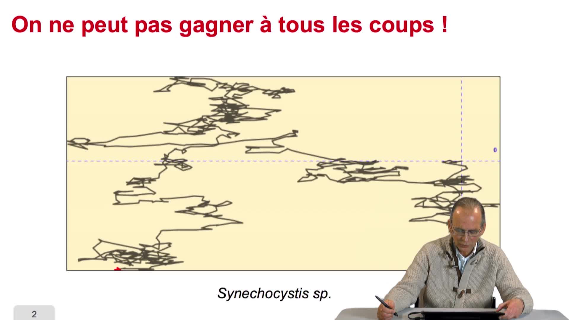 1.10. Des fenêtres glissantes et recouvrantes