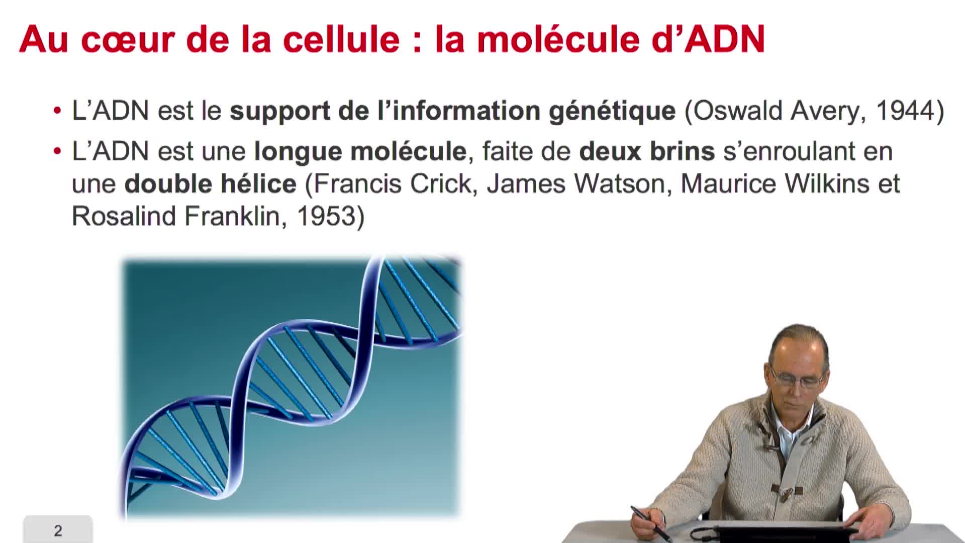 1.2. Au cœur de la cellule, la molécule d’ADN