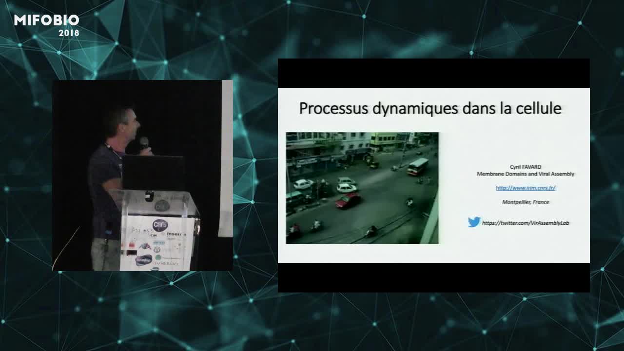 Mesurer et analyser la dynamique des molécules dans les cellules - Cyril Favard