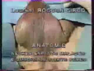 Abord périnéal de la prostate - Les plans de clivage