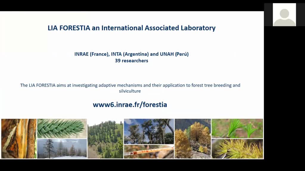 #4 Ecophysiology of tree ring formation: concepts, methods and applications