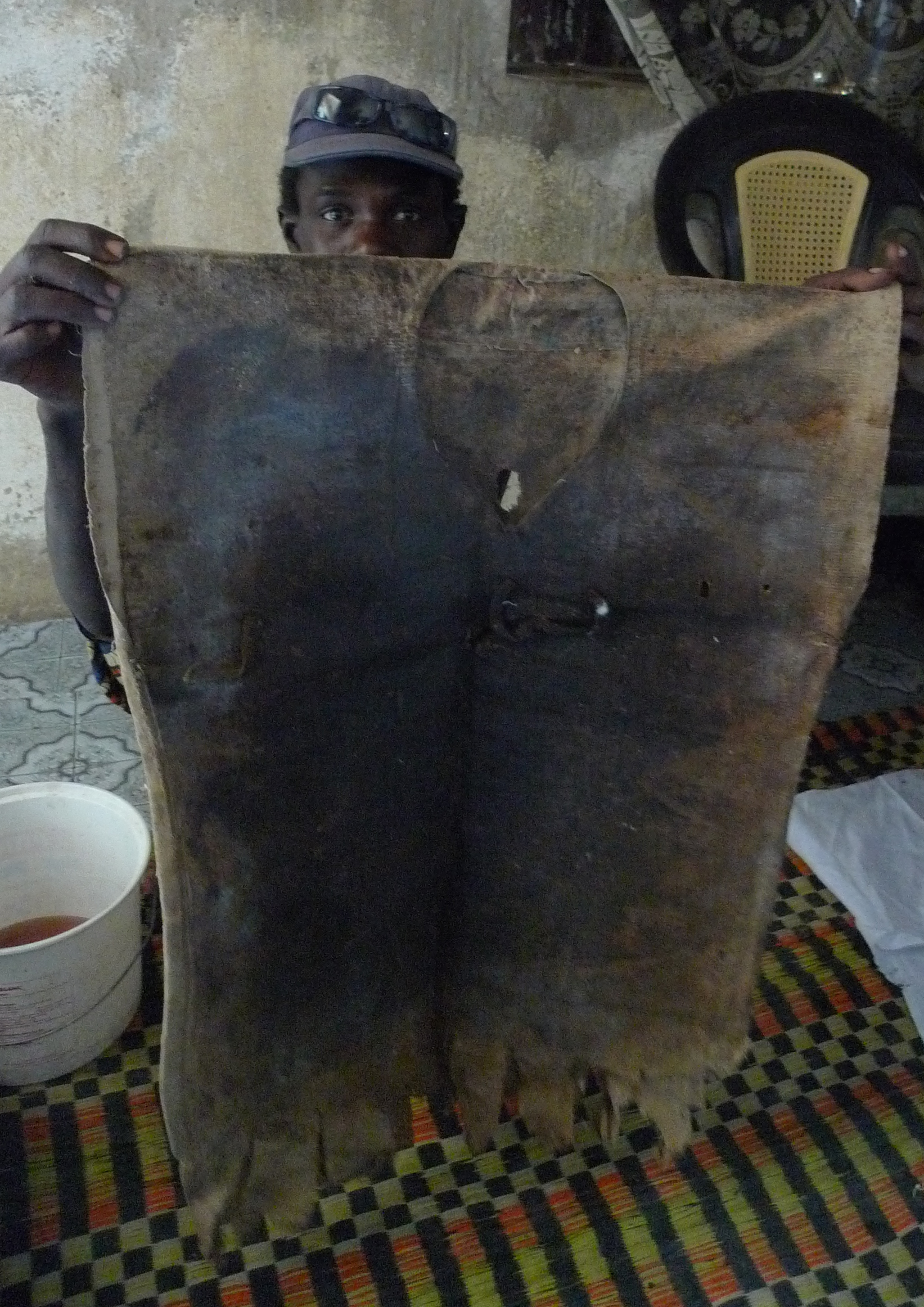 Consultations de Souley Nyakh, tradipraticien à Joal (déc. 2012)
- "versements" aux pangols domestiques, onctions et fabrication d'amulettes
- visite et "versements" aux habitants d'une forêt de baobabs sacrés