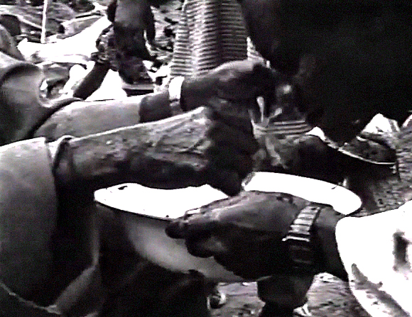 Extraction de « vers » au marché de Thiaroy, (Pikine, Sénégal 1987),