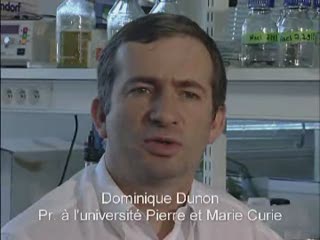 L'enseignement de la biologie cellulaire (2002)